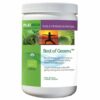 Best of Greens 300g